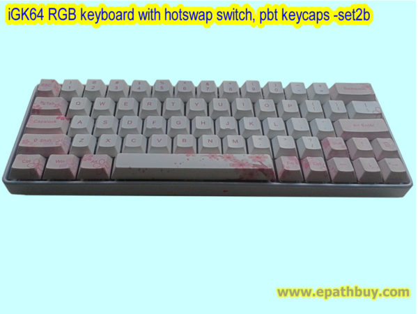 iGK64: 64key hot swap MX-based switches mechanical keyboard with blossom dye-subbed PBT keycaps (fairy), wired keyboard with USB type C port